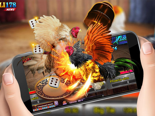 Online Sabong Best Fight Best Ever!