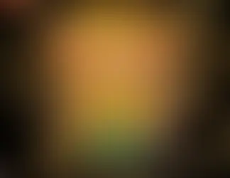 {4}